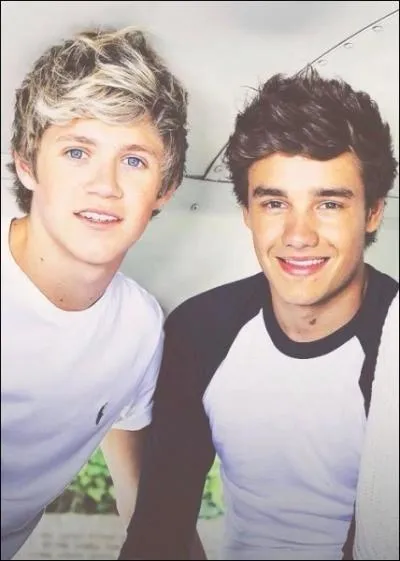 Quelle est la chanson prfre de Niall et Liam ? (C'est une chanson de leurs albums).