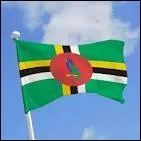  quel pays ce drapeau appartient-il ?