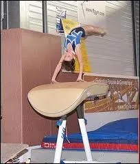 Quelle est cette figure ?