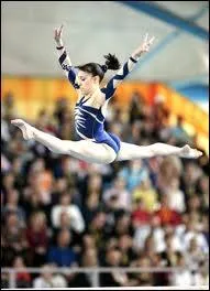 Quelle est cette figure ?