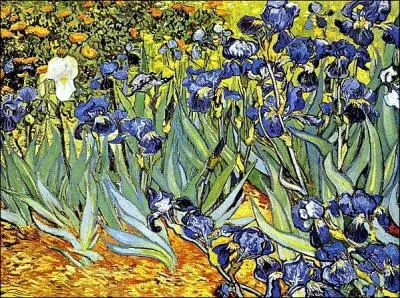 Est-ce Monet qui a peint Les Iris ?