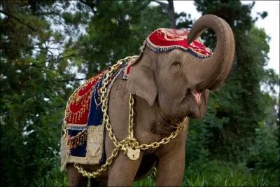 Qui permet  Alex de passer d'un monde  l'autre ?