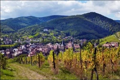 La ville de Ribeauvill, connue pour son vignoble est situe dans :