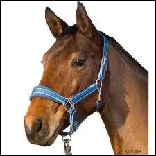 Qu'est-ce qu'un caveon ?