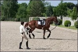 Quel doit tre le diamtre du cercle form lorsqu'on longe ?