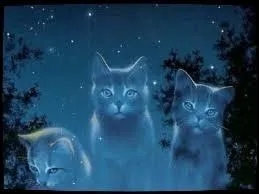 Je suis une chatte qui va se sacrifier pour sauver une autre chatte et ses chatons d'un blaireau. Je suis...