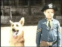 Chien du 101 d'infanterie, ami d'un jeune cavalier, d'une srie des annes 60.