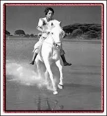 Film franais de 1953 tourn en Camargue.