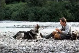 Chien d'un roman de Jack London et d'un film de Walt Disney de 1991.