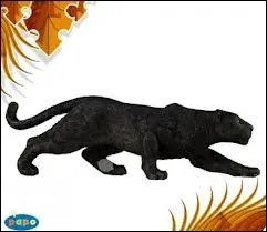 Panthre d'un roman de Rudyard Kipling, d'un dessin anim et d'un film.