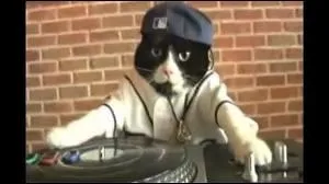 Comment s'appelle-t-il ?