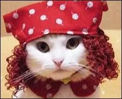 Elle croit qu'elle est dans le conte : 