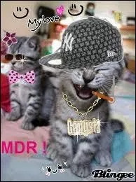 Que veut-il devenir ?