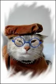 C'est la ... . . du Petit Chaperon rouge.