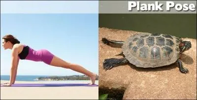 Elle fait du yoga  sa manire !
