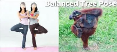 Il fait du yoga en Indonsie !