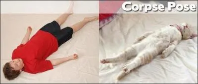 C'est le roi de la pause-dtente !