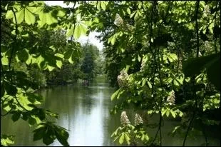 Le dpartement tient son nom d'un affluent rive droite de la Loire qui prend sa source...