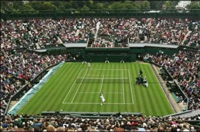 Je suis la marque qui fournit les balles du tournoi de Wimbledon. Quel est mon nom ?