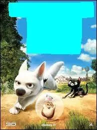 De quel film est ce toutou ?