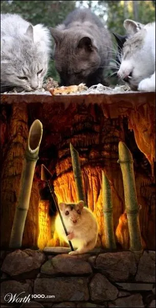 Dans ce film de Michael Cimino, trois amis partent combattre au Vietnam, ils en reviendront marqus  vie !