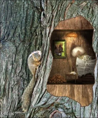 Madame, si vous tes ne entre le 30 mai et le 26 juin, vous tes du signe de l'cureuil dans l'astrologie ...