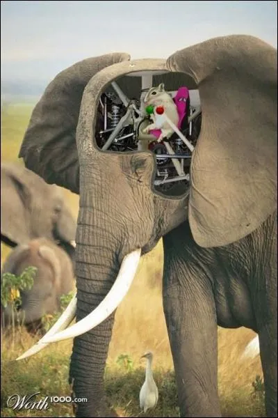 Plusieurs dfinitions pour une mme expression : Se croire suprieur, faire le fier, tre rempli d'orgueil !