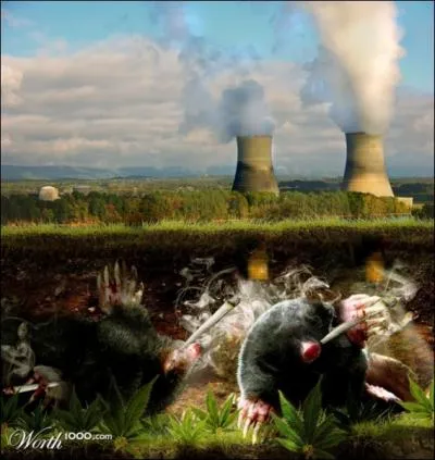 Regardez bien l'image et trouvez l'expression adquate !