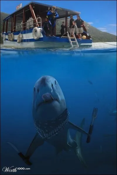 Autre expression, en accord avec cette image !