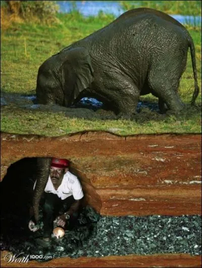 En Asie, comment appelle-t-on un conducteur d'lphant ?