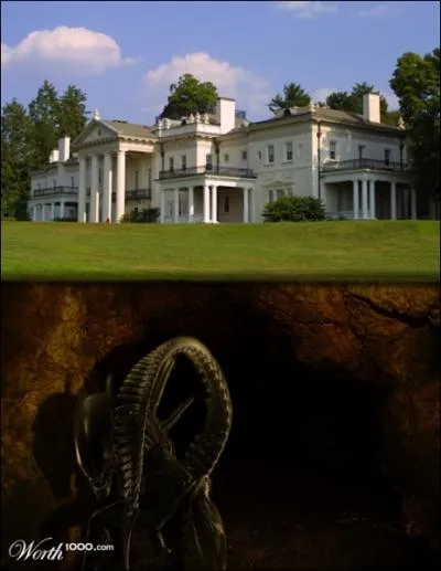 Qui est l'auteur de ce roman : L'tranger ?