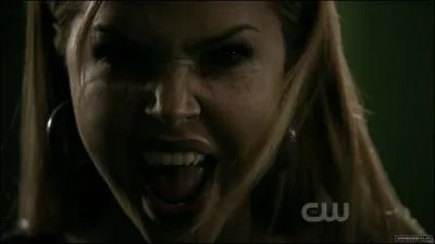 Qui est compare  Lexi ?