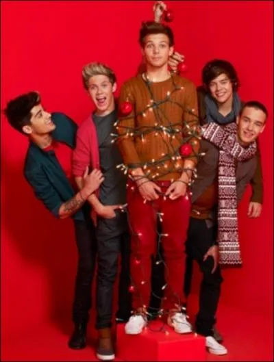 O habitent les One Direction ?