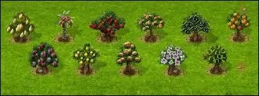 Et comment s'appelle le produit permettant de faire pousser des arbres 35 fois plus vite ?