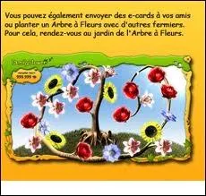 Fleurs :  partir de quel niveau peut-on avoir des bleuets ?