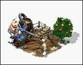 Fleurs : et quel niveau pour les bgonias ?