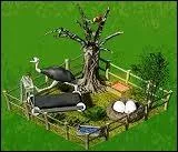 Abri :  partir de quel niveau peut-on avoir un abri pour autruches ?