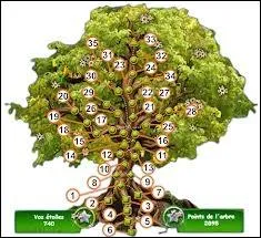 Quel arbre est disponible au niveau 51 ?