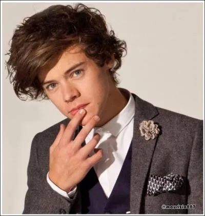 Quel est l'animal prfr d'Harry ?