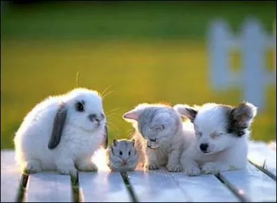 Alexandre nous dit qu'ils taient trois, mais en fait ils taient quatre, parole de gascon !