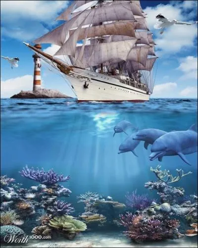 Retrouvez le nom du vhicule !