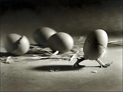 Retrouvez la citation de Paul Eluard !