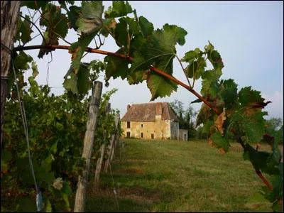 Prs de quelle ville est produit le vin de Pcharmant ?