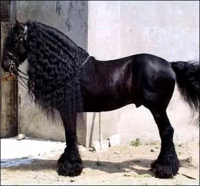 De quel pays est-il originaire ?