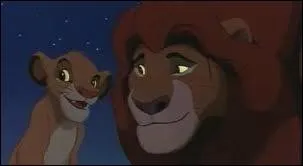 Qui est Simba ?
