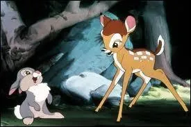 Qui est le lapin qui accompagne Bambi ?