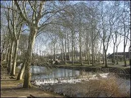 Le Luy nat de la runion de cours d'eau. Quels sont-ils ?