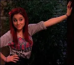 Quelle est la particularit de Cat ?