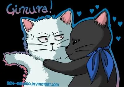 Dans quel pisode Gintoki et Katsura se transforment-ils en chats ?