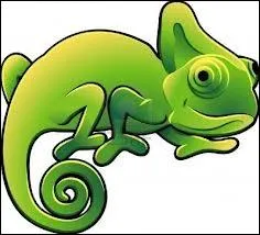 Le camlon :  quel niveau est-il disponible ?